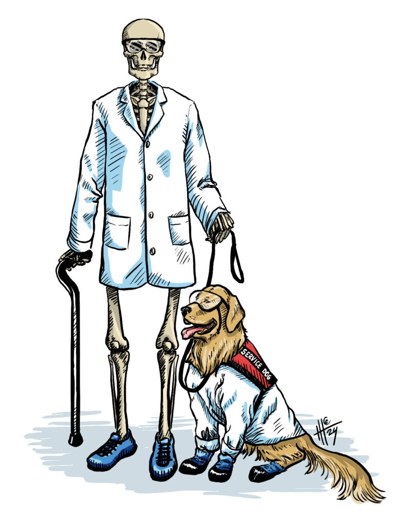 A skeleton in a lab coat. They are utilizing a cane and have a service dog wearing personal protection equipment on a short leash.